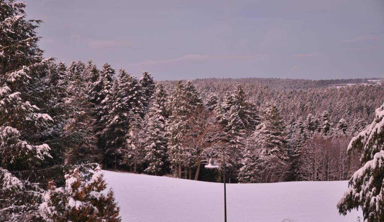Landhotel Krone Alpirsbach Kültér fotó